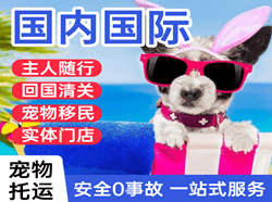 三亚凤凰机场快递国际宠物托运 【国